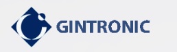 GINTRONIC AG logo